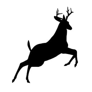 Deer jumping. Silhouette on white background. thumbnail