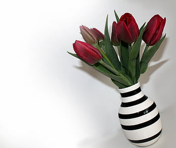 red tulips in white and black striped ceramic vase thumbnail
