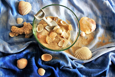 seashell lot in clear glass bowl thumbnail