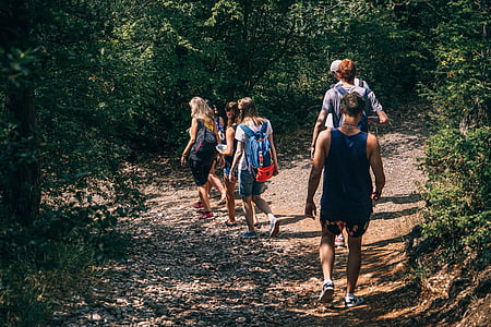 group of people walking on land surrounded by leafed trees thumbnail