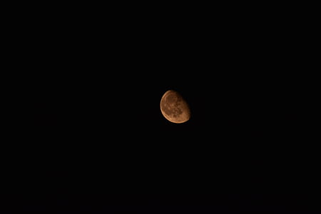 quarter moon thumbnail