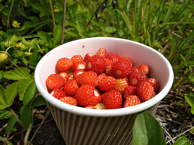 Wild Strawberry, Berry thumbnail