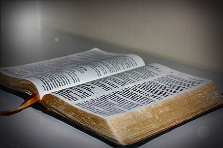open book on surface thumbnail