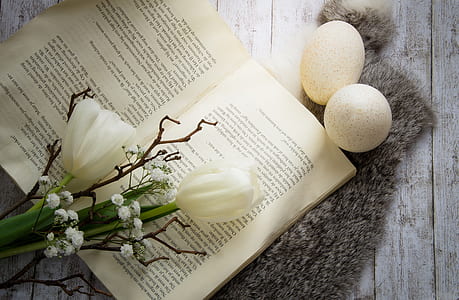 white flowers on top of opened book thumbnail