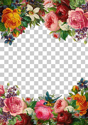 Flower Pixabay , Beautiful flowers border, pink and yellow flowers illustration PNG clipart