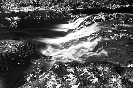 view of river bank grayscale photo thumbnail