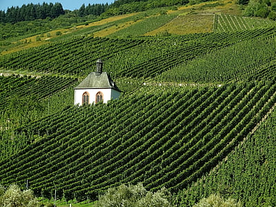 landscape photography of land thumbnail