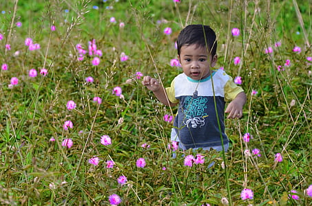 toddler boy standing on Mimosa pudica flowers thumbnail