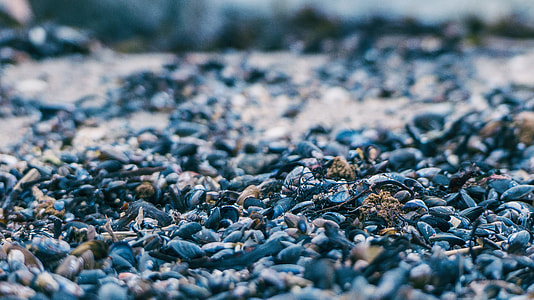 black and beige coarse sand close-up photo thumbnail