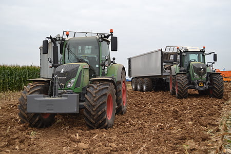 two trucks parked near sugarcane field thumbnail