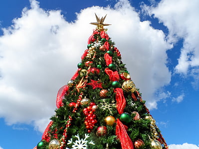 Christmas tree during daytime thumbnail