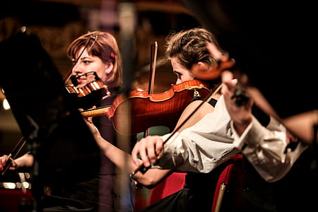 musician, violin, music, playing thumbnail