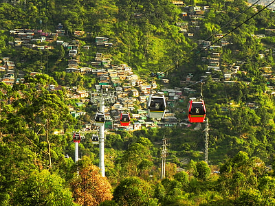 cable cart surrounded trees thumbnail