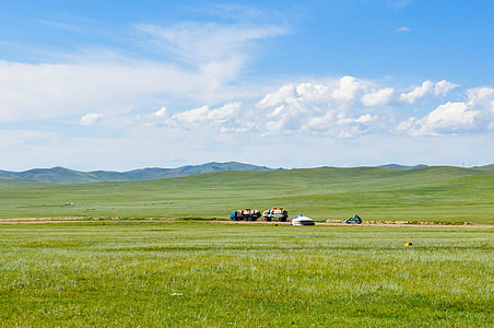 green grass thumbnail