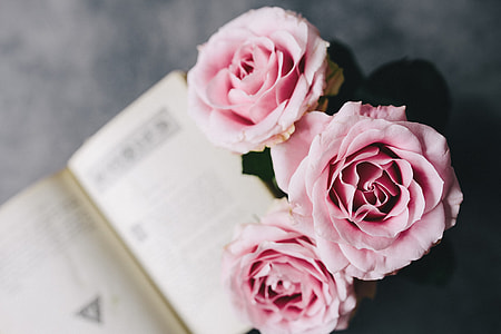 Lovely roseses, book and coffee thumbnail