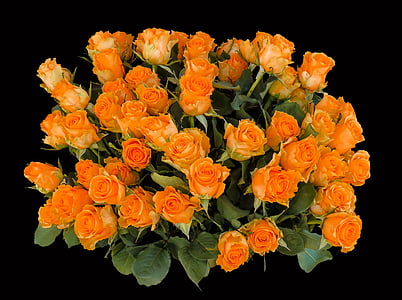 bouquet of orange rose flower thumbnail