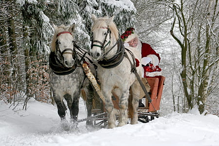 Santa Claus riding sleigh with two white horses beside brown bare trees during daytime thumbnail
