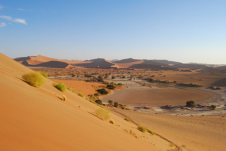 brown desert surface with dunes thumbnail
