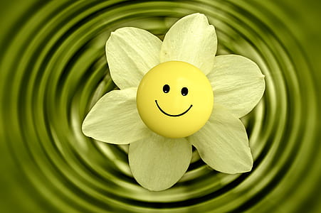 white petaled flower with smile sticker thumbnail