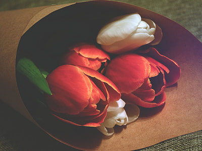 closeup photo of red and white tulip flower bouquet thumbnail