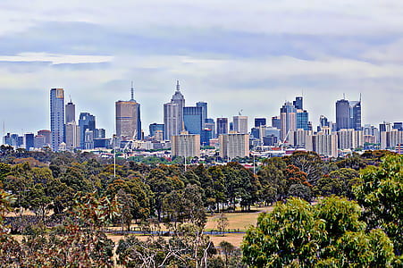 skyline photography of city at daytime thumbnail
