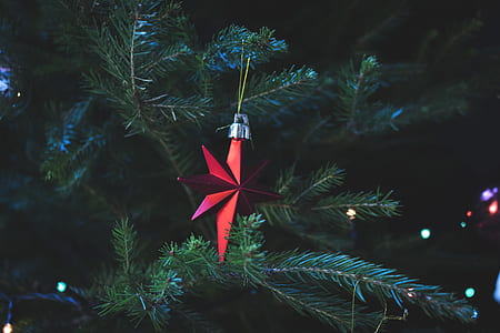 Photo of Red Christmas Tree Decor thumbnail
