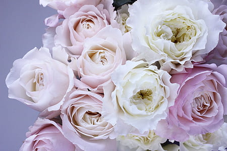 white and pink rose bouquet thumbnail
