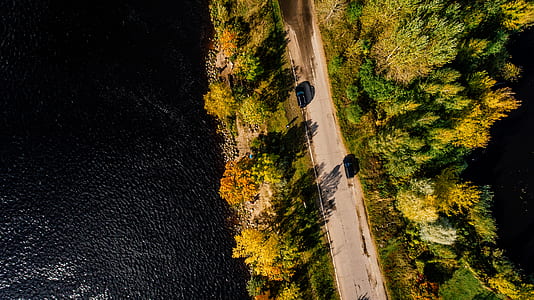 Aerial Photography of Road Between Trees on Body of Water thumbnail
