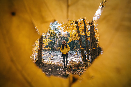 A woman hiking in the forest trees during the Autumn thumbnail