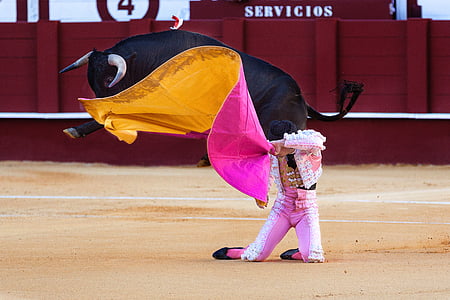 matador kneeling on ground thumbnail