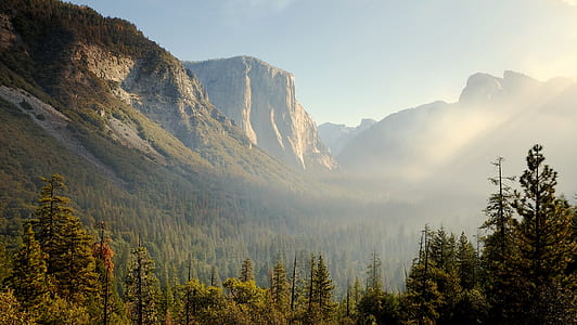 forest between mountains under blue sky thumbnail