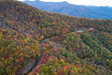 aerial photography of winding road on hill near forest thumbnail