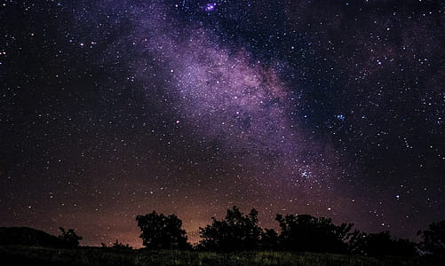 trees under starry nightsky thumbnail