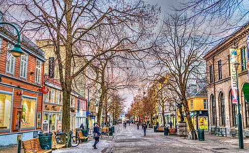 people walking in street with trees and building thumbnail