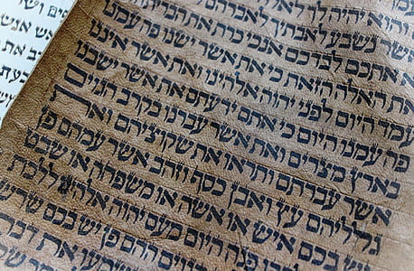 alphabet, bible, book, old book, paper, starodruk thumbnail