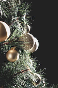 selective focus photography of gold Christmas baubles hanged on Christmas tree thumbnail