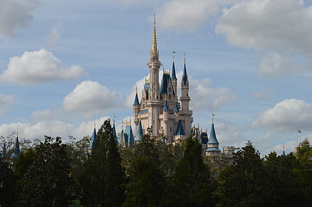 Cinderella Castle surrounded with trees thumbnail