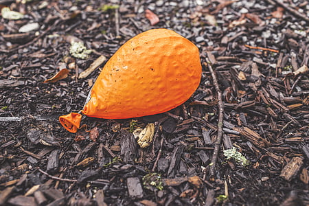 orange latex balloon on the ground thumbnail