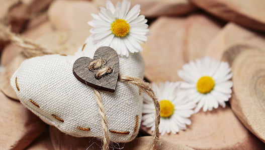 heart-shape knitted pillow and three daisy flowers thumbnail