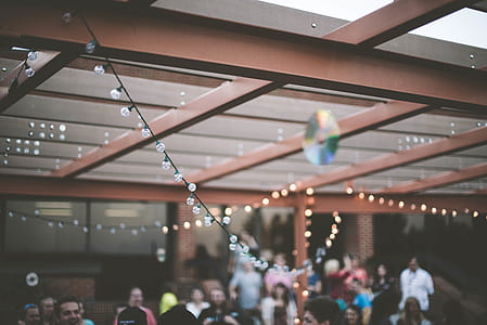 shallow focus photography of LED strip lights hanging on wall thumbnail