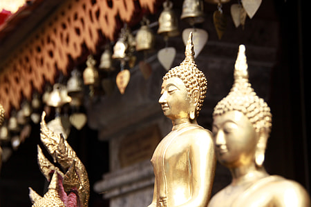 brass Gautama statue in tilt shift photography thumbnail