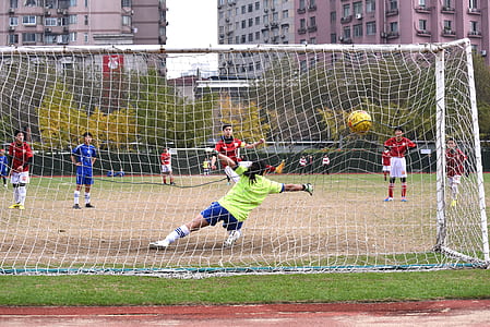field, playing, sport, ball thumbnail