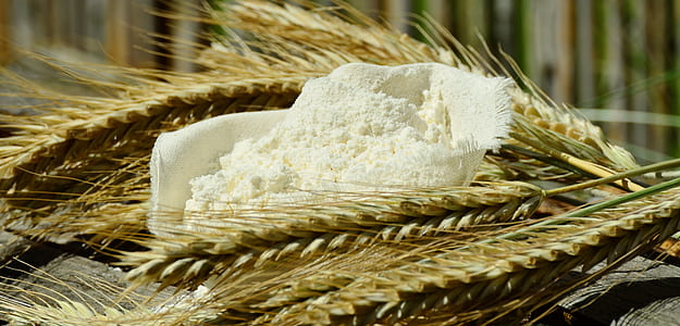 wheat and white shell thumbnail
