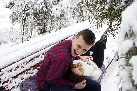 cold, snow, wood, bench thumbnail