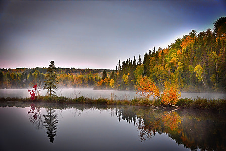 green trees near body of water thumbnail