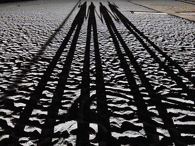 shadow of four person on gray sand thumbnail