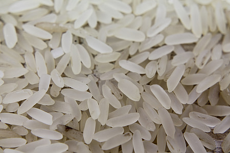 close up photo of rice grains thumbnail