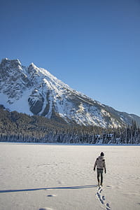 person walking on snow field near pine trees and mountain during daytime thumbnail