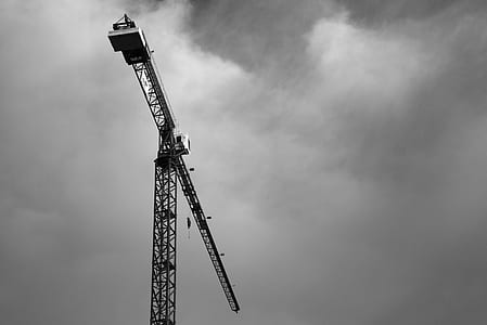 rule of thirds photography of crane thumbnail