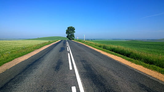 black and gray concrete road near green grasses thumbnail